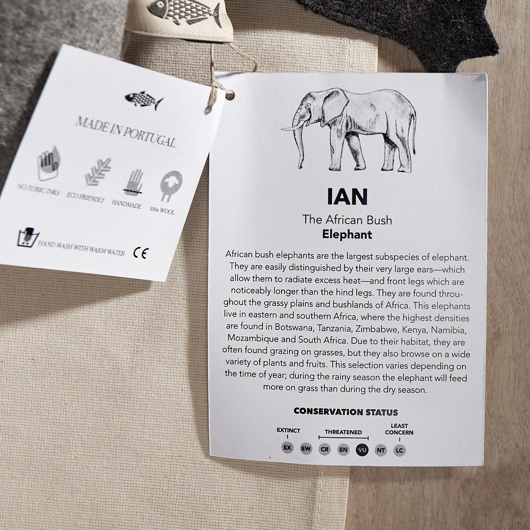A card with the word IAN, the African Bush Elephant, on it.