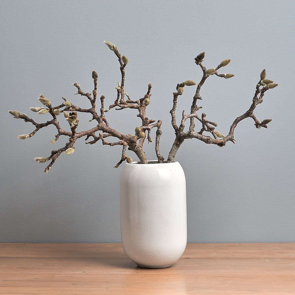 An Ovum Vase – Satin White by Gidon Bing with branches sitting on a wooden table.