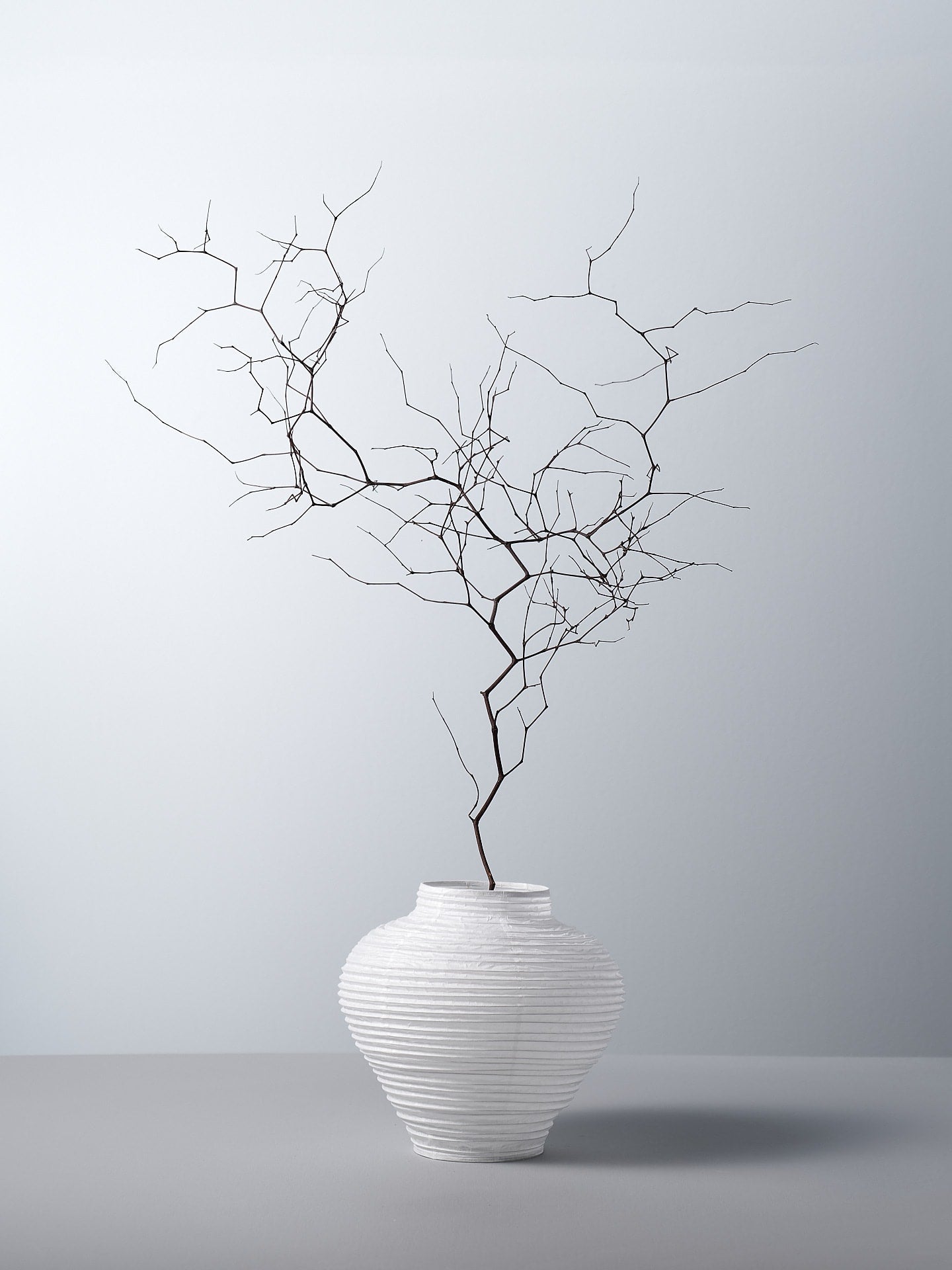 A Nobi-tsutsu Paper Vase – №1 from Hayashi Kougei with a bare tree in it.