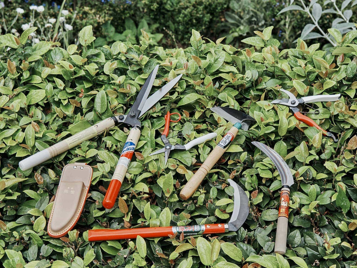 A group of Okatsune Single Leather Holster gardening tools laying on a bush.
