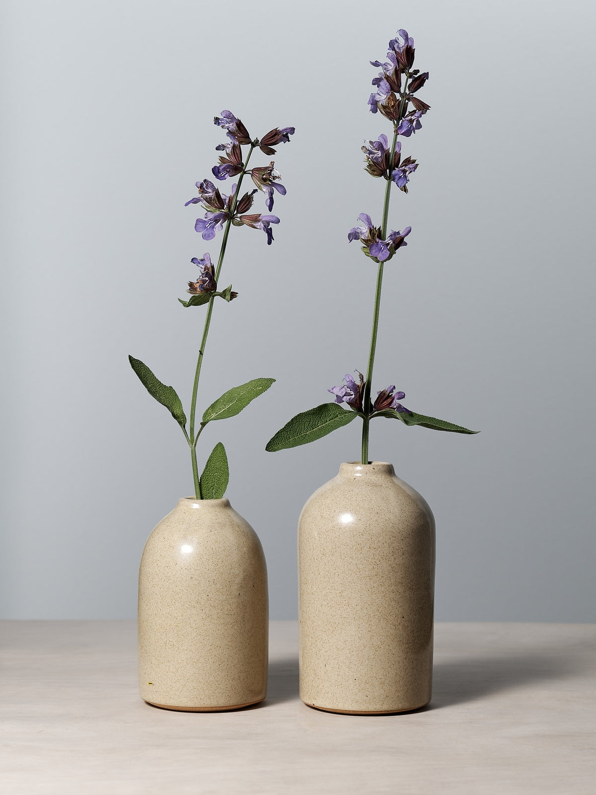 Two small Richard Beauchamp bud vases on a table with purple flowers in them.
