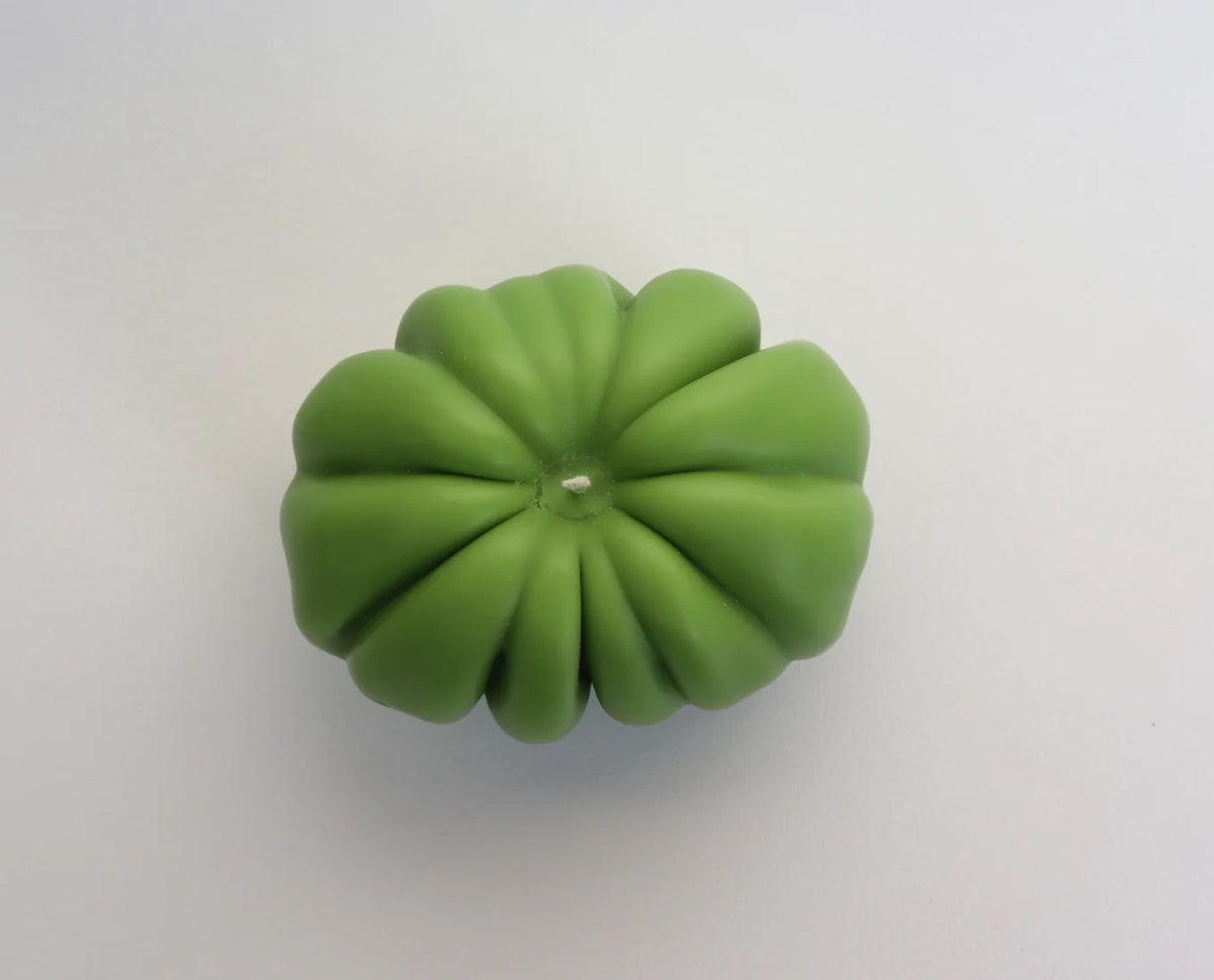 A Green Heirloom Tomato Candle - Medium by Nonna&#39;s Grocer on a white surface.