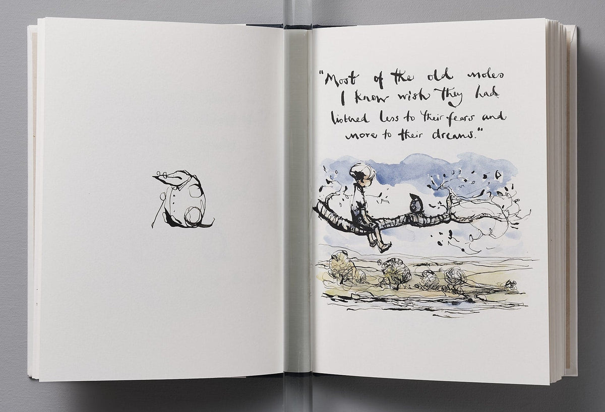 An open book with &quot;The Boy, the Mole, the Fox and the Horse&quot; by Charlie Mackesy on it.