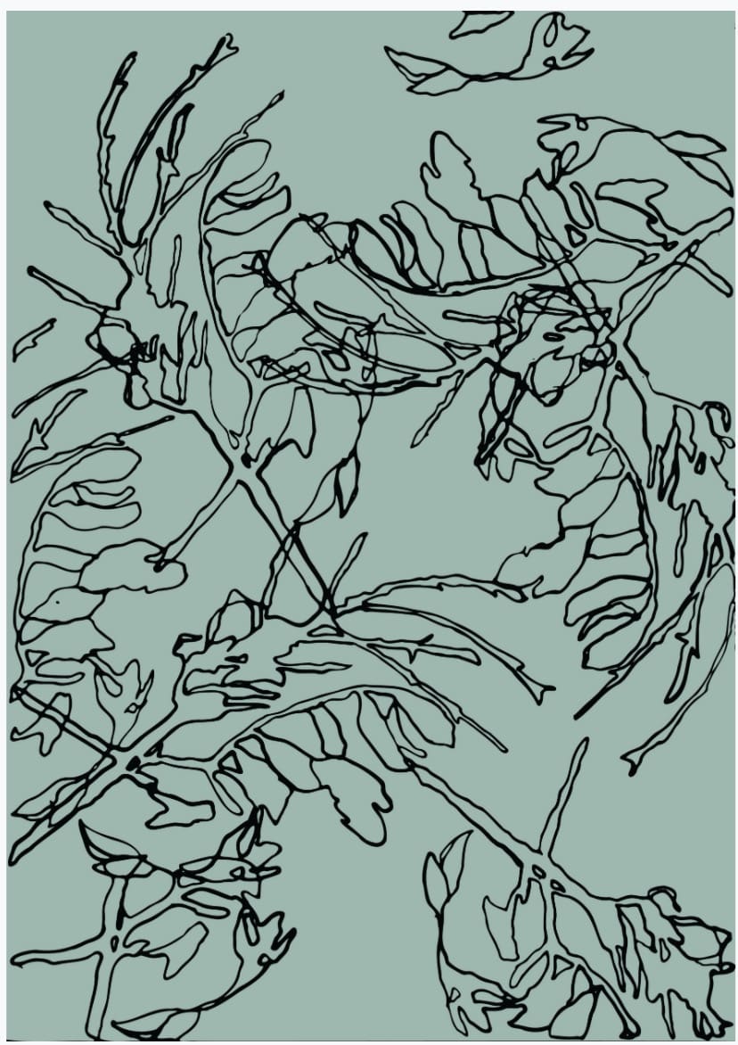 A black and white drawing of leaves on a green background - Walker &amp; Bing Greeting Cards – Floral Outline.