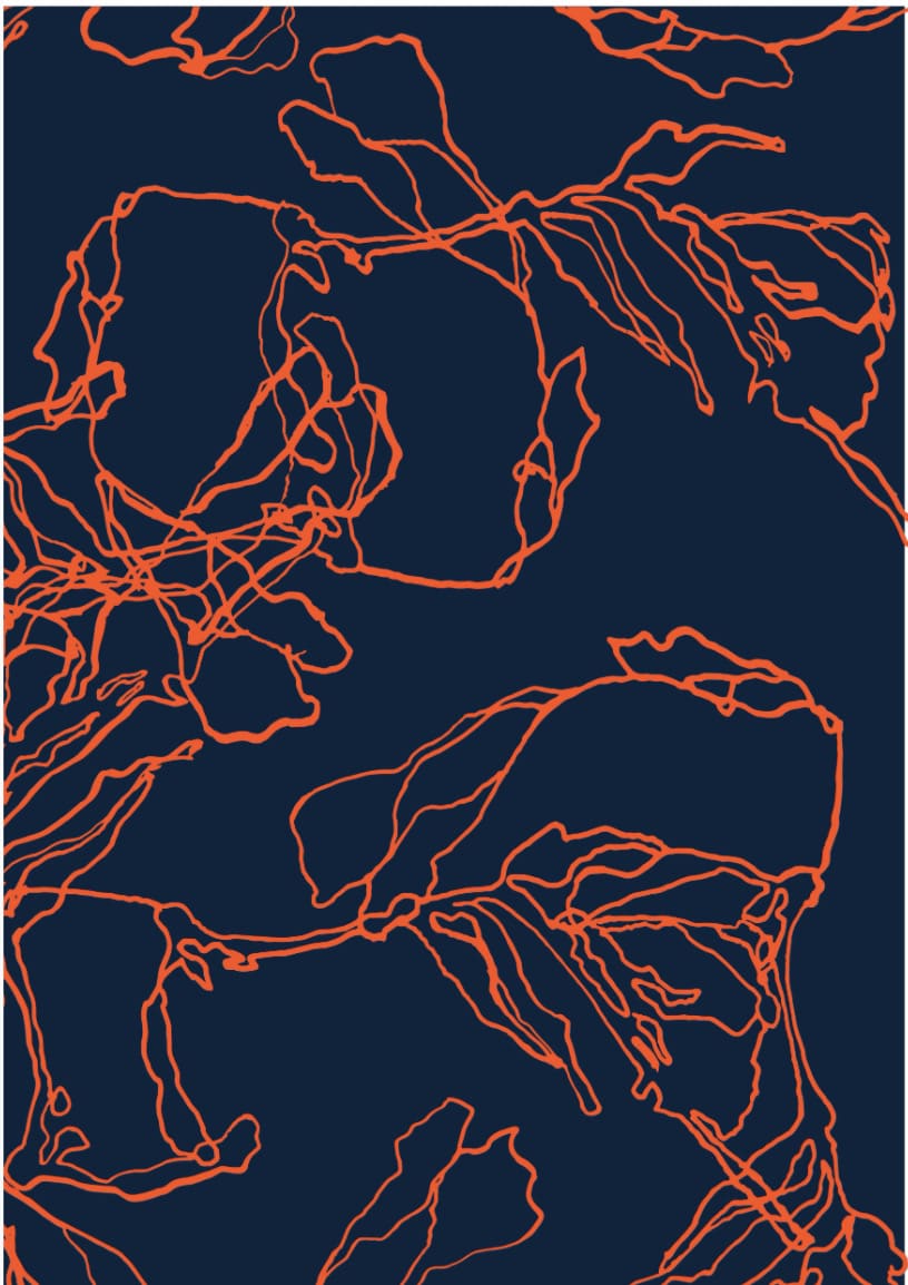 An orange and blue floral pattern on a navy background, featuring the Greeting Cards – Floral Outline by Walker &amp; Bing.