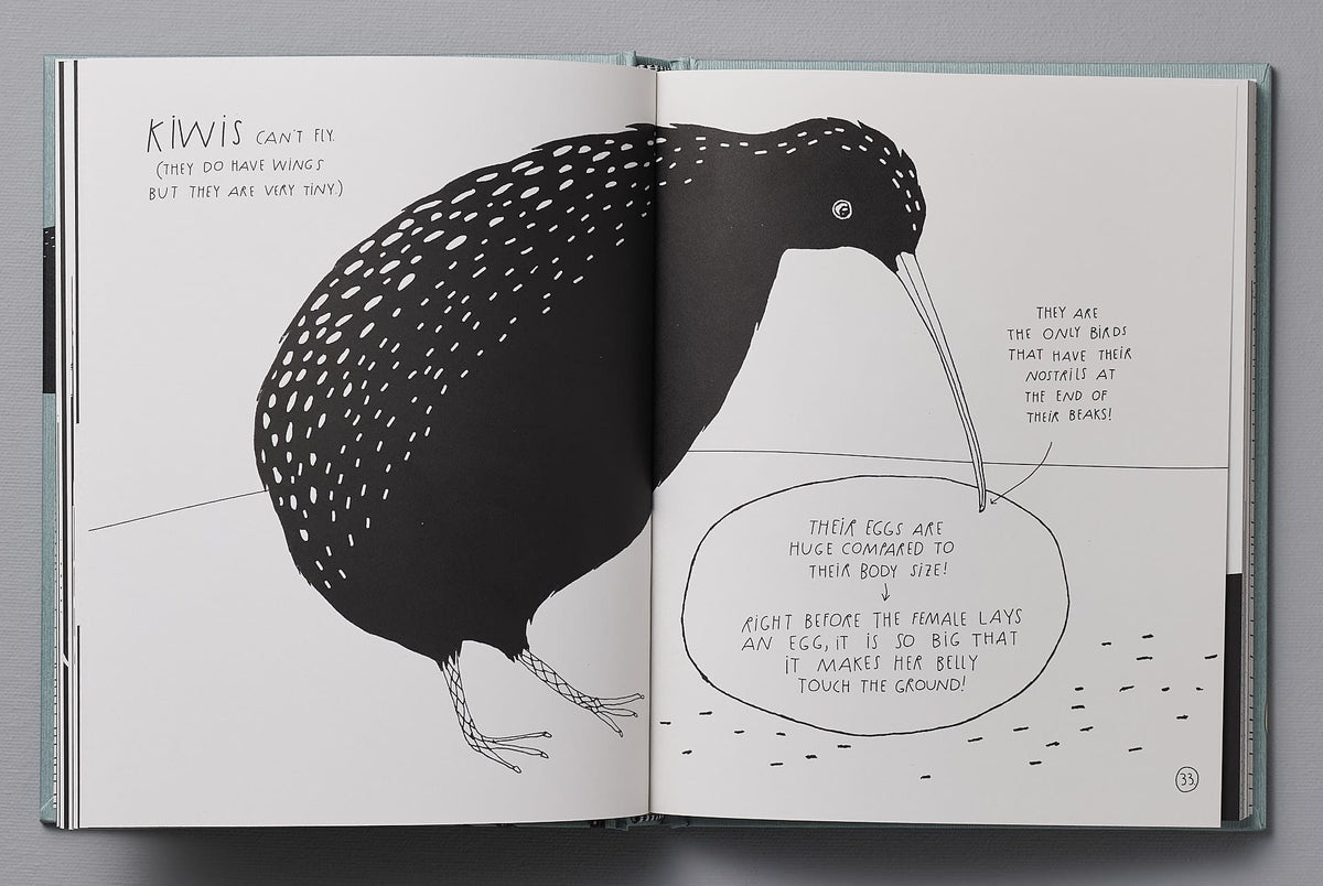 A copy of &quot;The Illustrated Compendium of Amazing Animal Facts&quot; by Maja Säfström with an illustration of a kiwi bird.