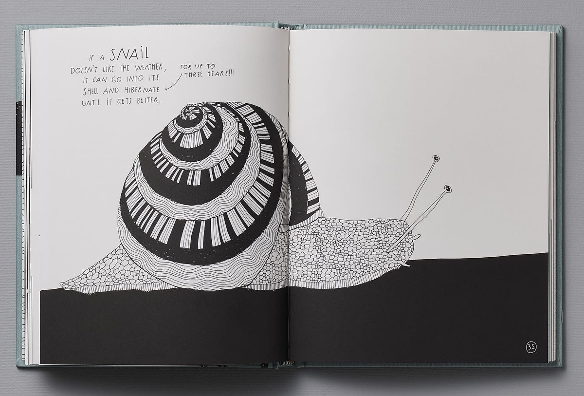 An open book with an illustration of a snail, &quot;The Illustrated Compendium of Amazing Animal Facts&quot; by Maja Säfström.