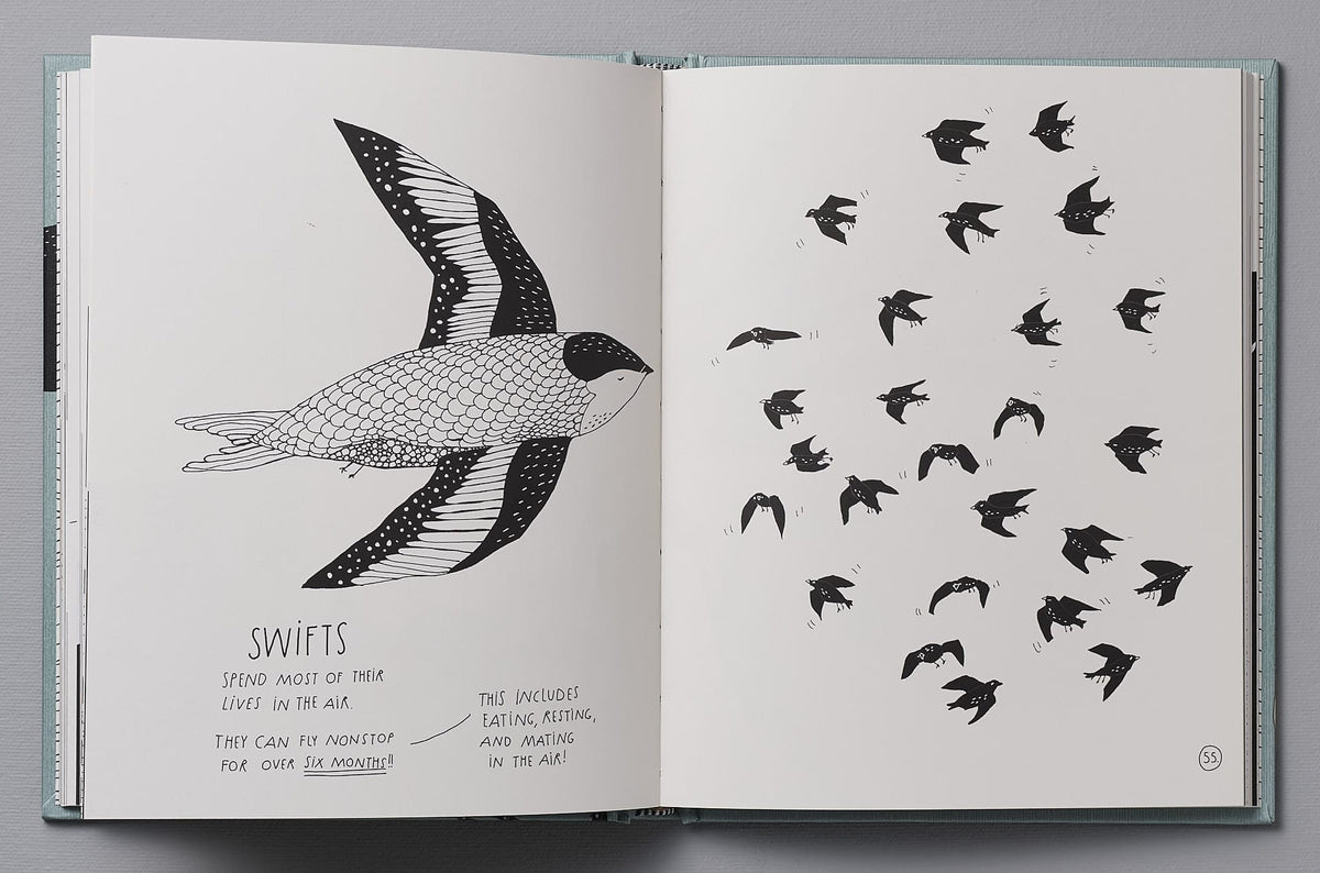 A copy of &quot;The Illustrated Compendium of Amazing Animal Facts&quot; by Maja Säfström with illustrations of birds flying in the air.