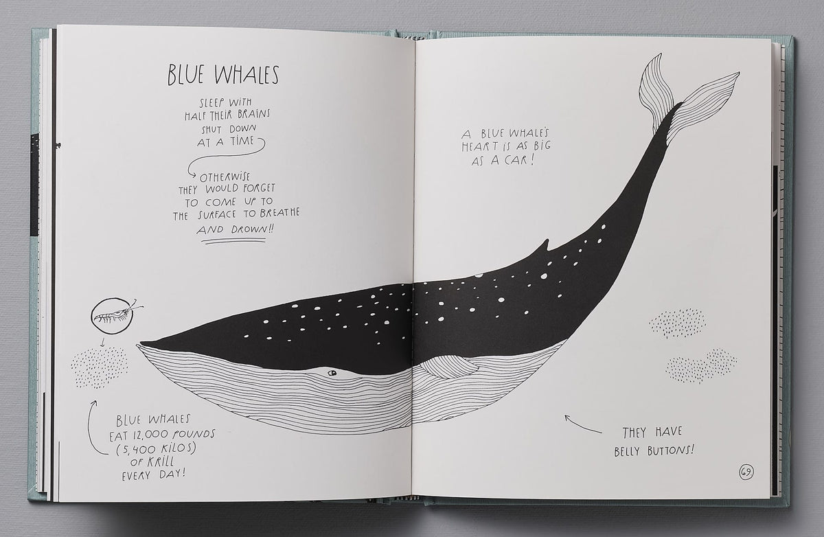 An open book with illustrations of a whale, The Illustrated Compendium of Amazing Animal Facts by Maja Säfström.