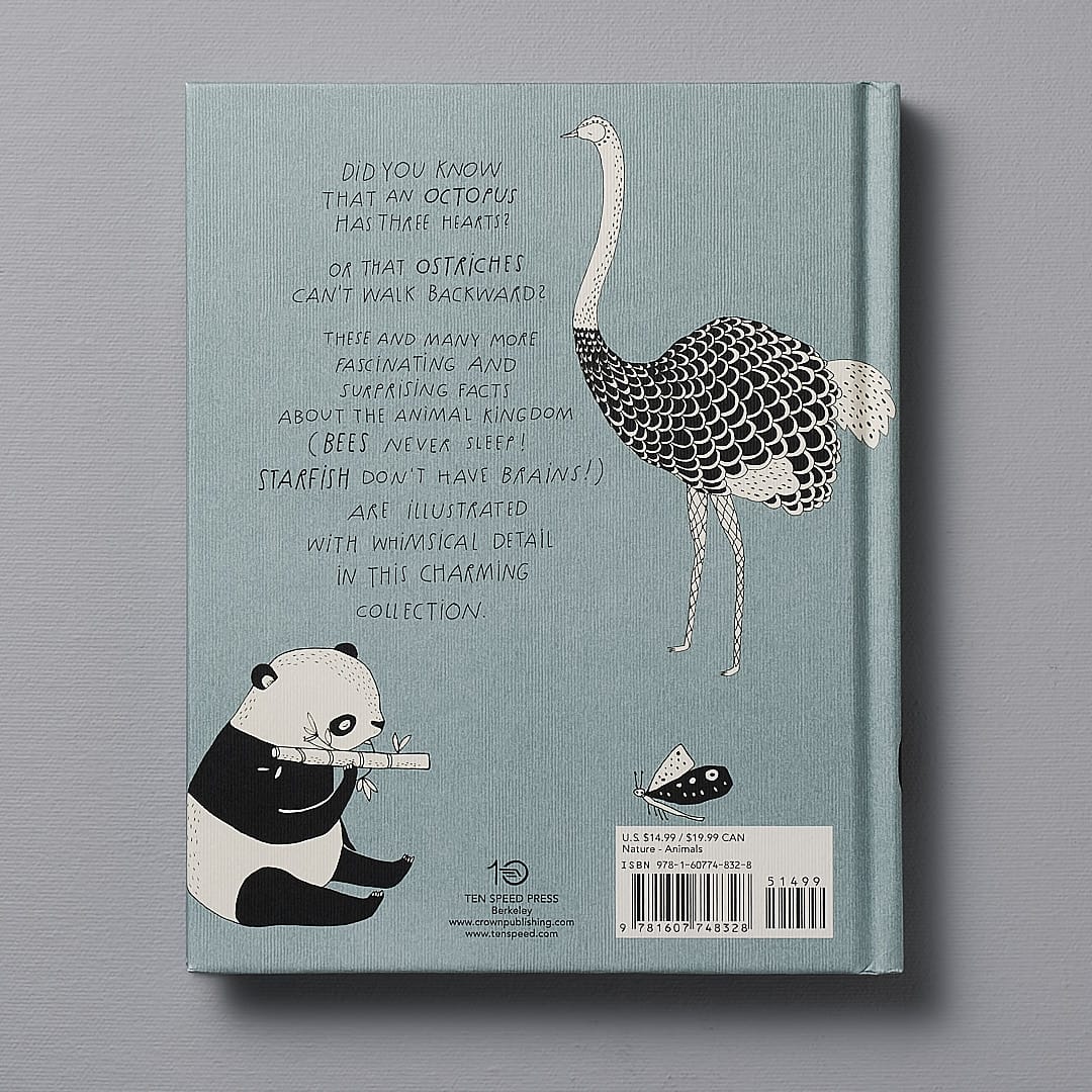 An &quot;The Illustrated Compendium of Amazing Animal Facts&quot; children&#39;s book with an owl and a panda by Maja Säfström.